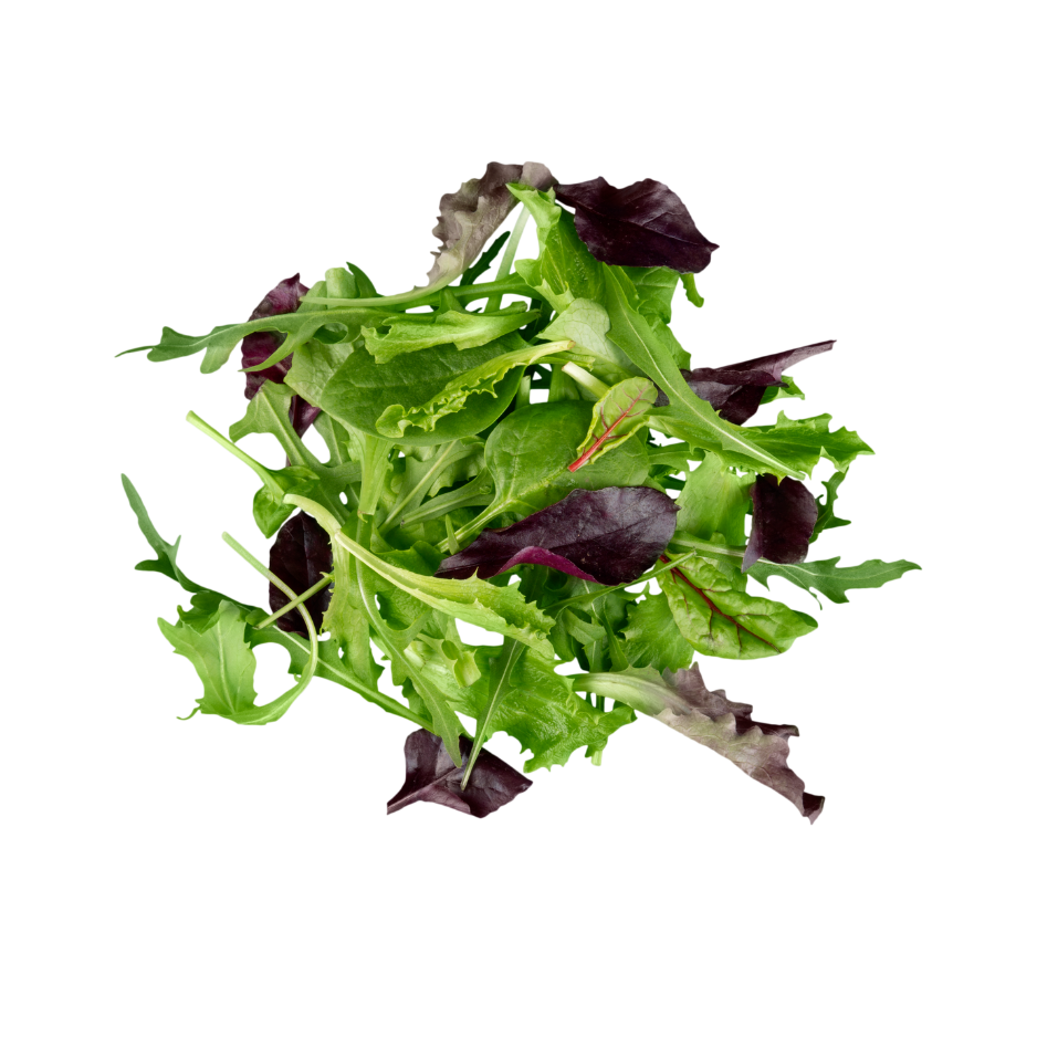 ARCADIAN SALAD MIX