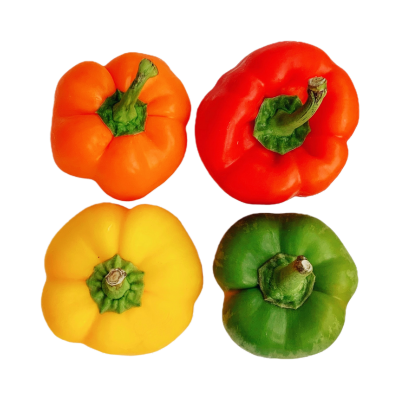 PEPPER SUNTAN/MIX BELL TYPE