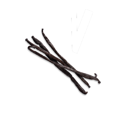 BEAN VANILLA