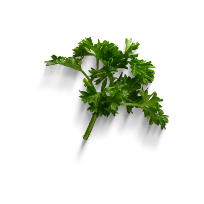 PARSLEY KILO