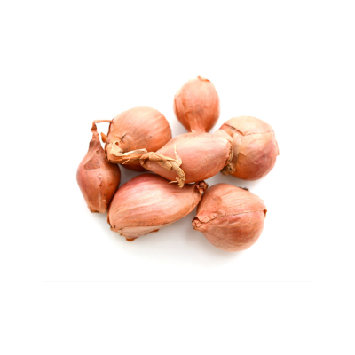 SHALLOT BAG